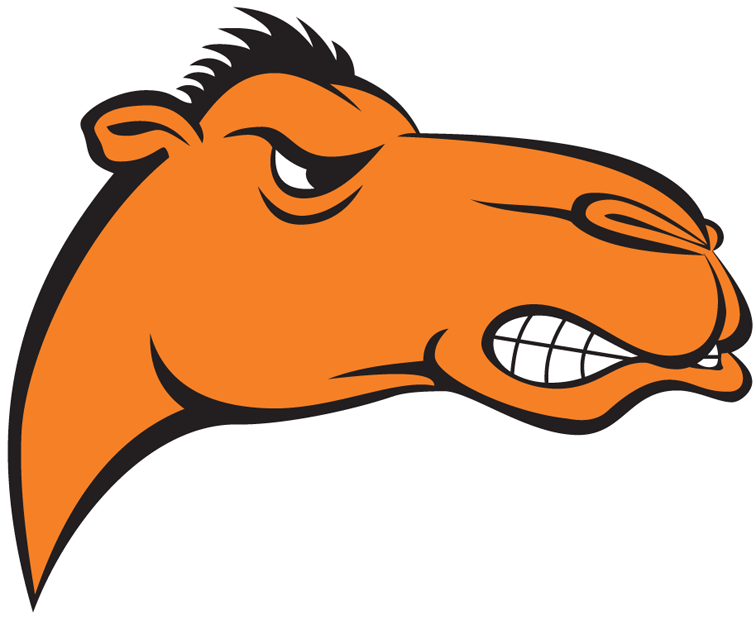 Campbell Fighting Camels 2005-2007 Alternate Logo diy iron on heat transfer